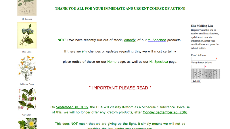 Illustration for article titled The DEA Is About to Kill Kratom and Internet Sales Are Going Crazy